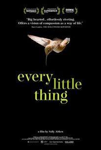 Every Little Thing (2024) torrent